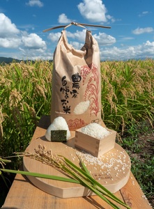 米 はれわたり 5kg 令和8年産米 特A 青森 はれわたり 先行受付
