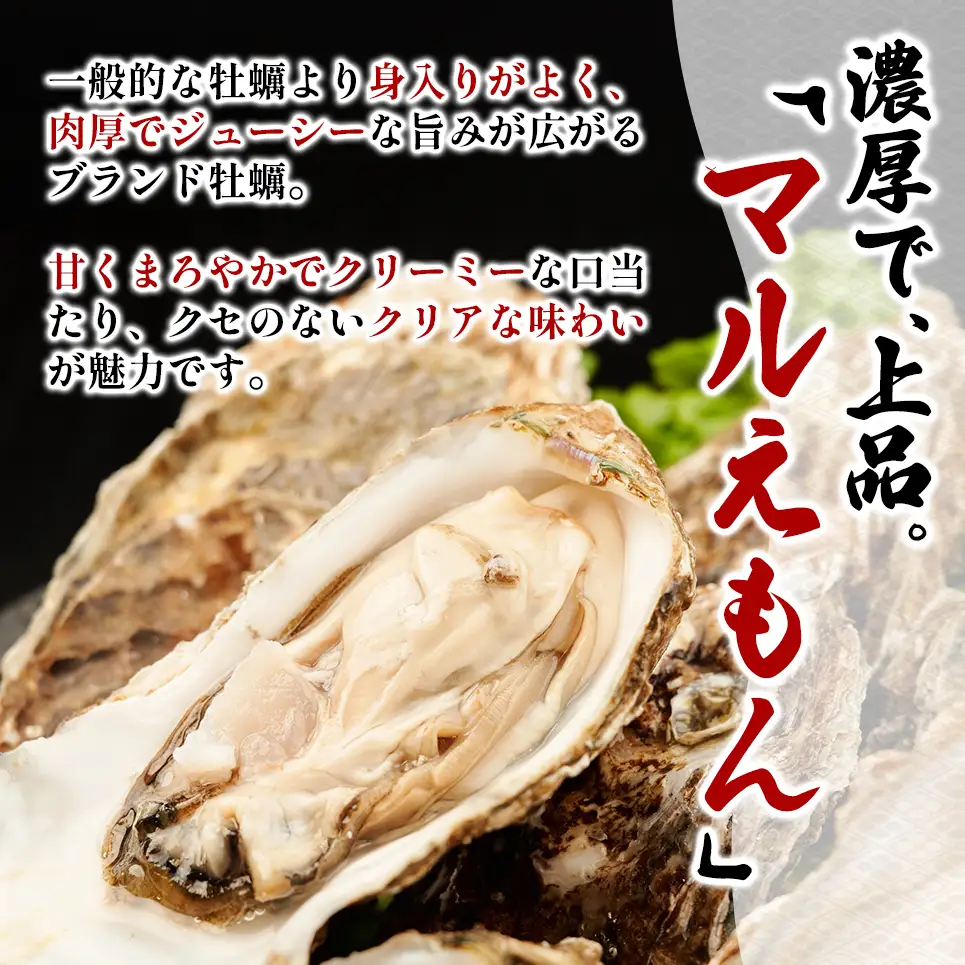北海道 厚岸産 ブランド牡蠣 マルえもん 殻付き 牡蠣 3Lサイズ 14個 【光輝】 [ 魚貝類 生牡蠣 海鮮 海の幸 生食用牡蠣 生食用 生食用殻付き牡蠣 濃厚 甘み  オイスター ]  
