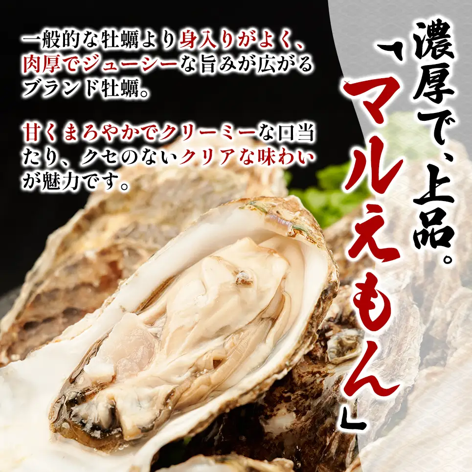 北海道 厚岸産 ブランド牡蠣 マルえもん 殻付き 牡蠣 LLサイズ 40個 【光輝】 [ 魚貝類 生牡蠣 海鮮 海の幸 生食用牡蠣 生食用 生食用殻付き牡蠣 濃厚 甘み  オイスター ]  