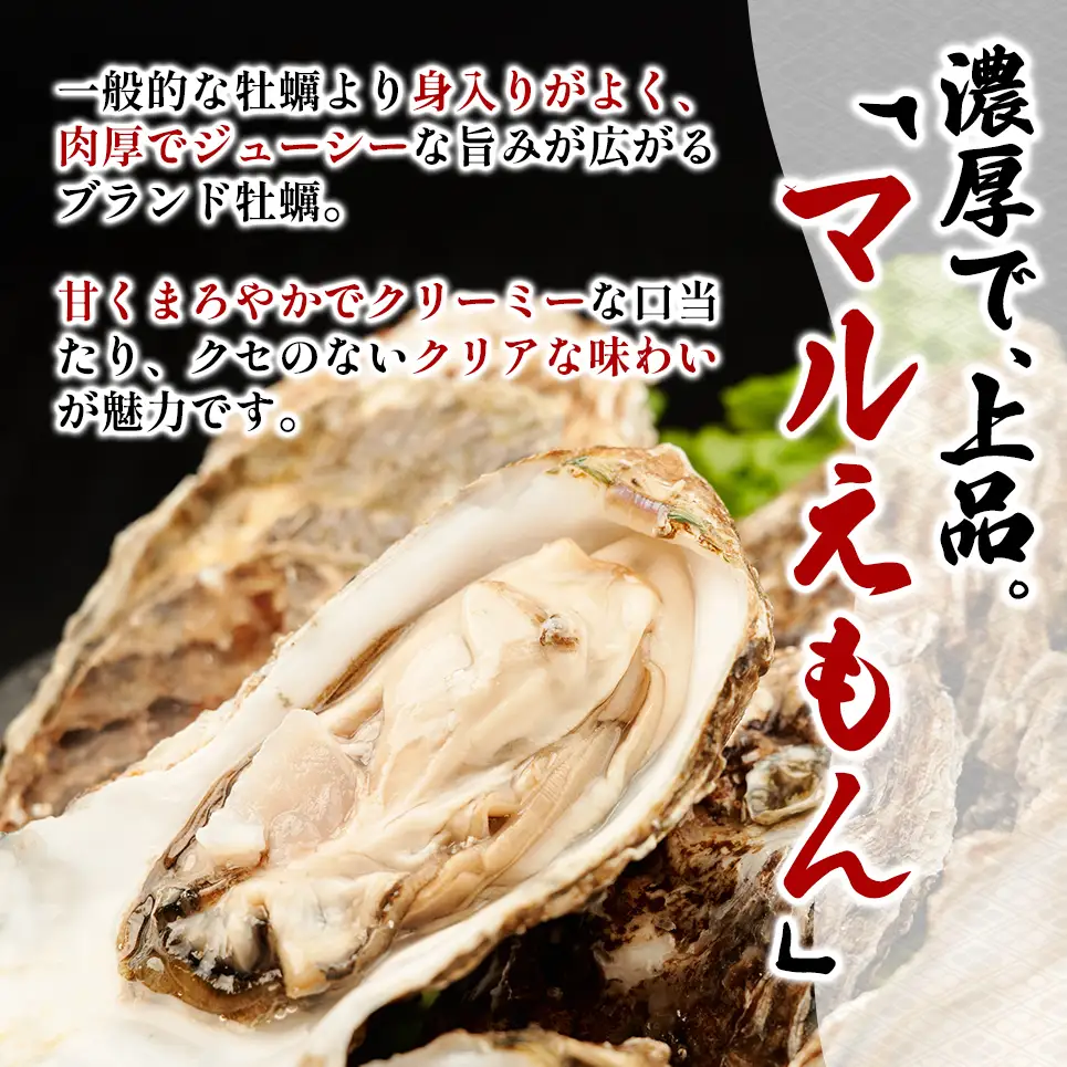 北海道 厚岸産 ブランド牡蠣 マルえもん 殻付き 牡蠣 LLサイズ 14個 【光輝】 [ 魚貝類 生牡蠣 海鮮 海の幸 生食用牡蠣 生食用 生食用殻付き牡蠣 濃厚 甘み  オイスター ]  