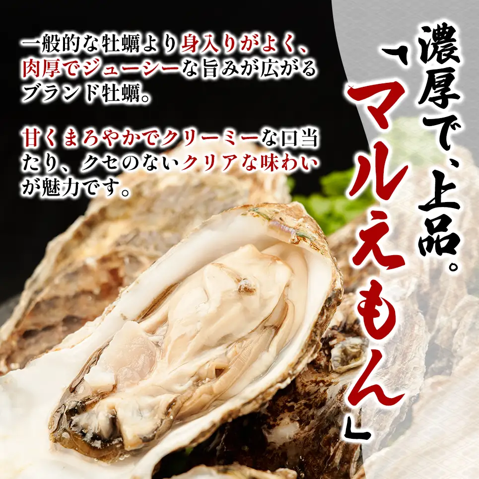 北海道 厚岸産 ブランド牡蠣 マルえもん 殻付き 牡蠣 Lサイズ 14個 【光輝】 [ 魚貝類 生牡蠣 海鮮 海の幸 生食用牡蠣 生食用 生食用殻付き牡蠣 濃厚 甘み  オイスター ]  