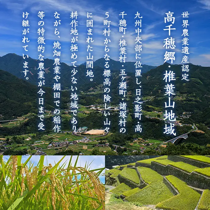 ＜全3回・定期便＞藤六穀(総計9袋・3袋×3回)【TT003】【一般社団法人 ツーリズム高千穂郷】