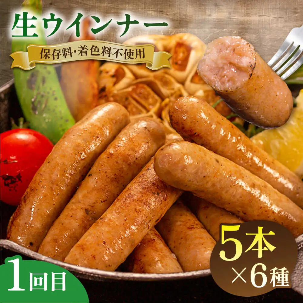 【全3回定期便】 ウインナー / ハンバーグ / ハム 月替り セット 糸島市 / 志摩スモークハウス 生ハム ベーコン [AOA038]