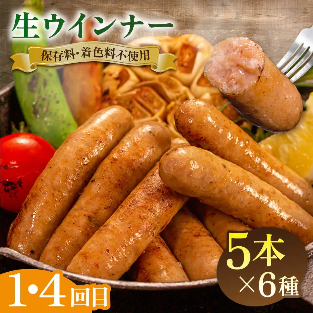 【全6回定期便】 ウインナー / ハンバーグ / ハム 月替り セット 糸島市 / 志摩スモークハウス 生ハム ベーコン [AOA039]