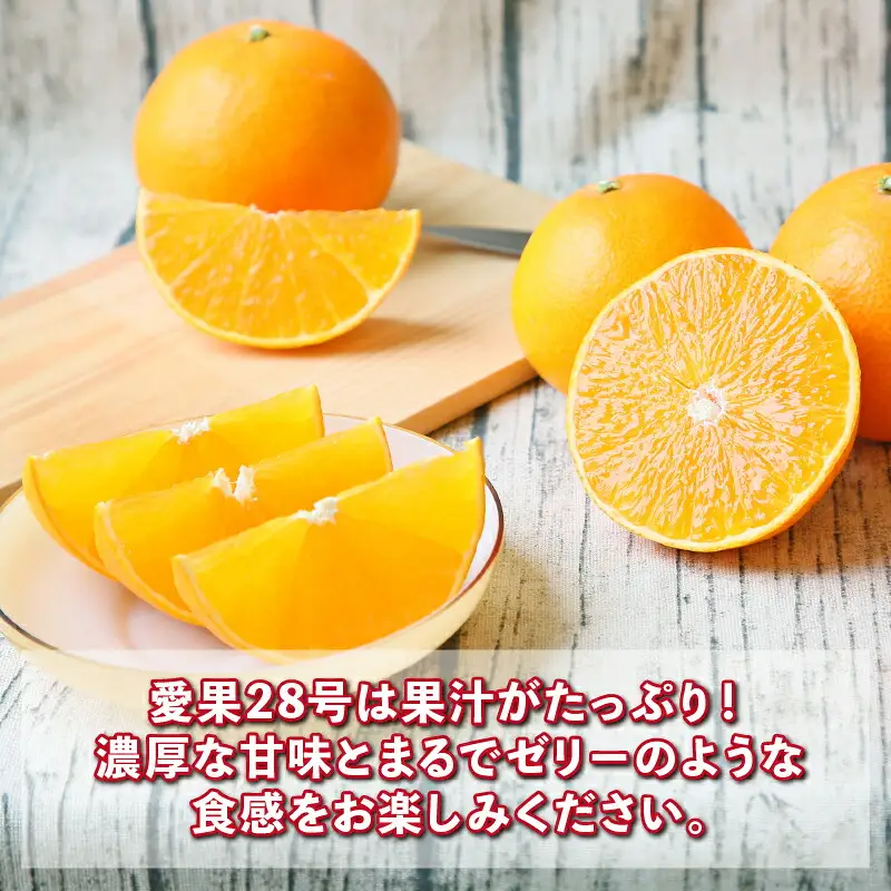 【紅まどんなと同品種】 愛果28号 まどんな 贈答用 矢野青果 【B015-171043】