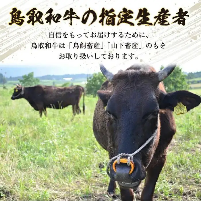 700.鳥取 和牛 カルビ 焼肉 バラ（300g） | カルビ