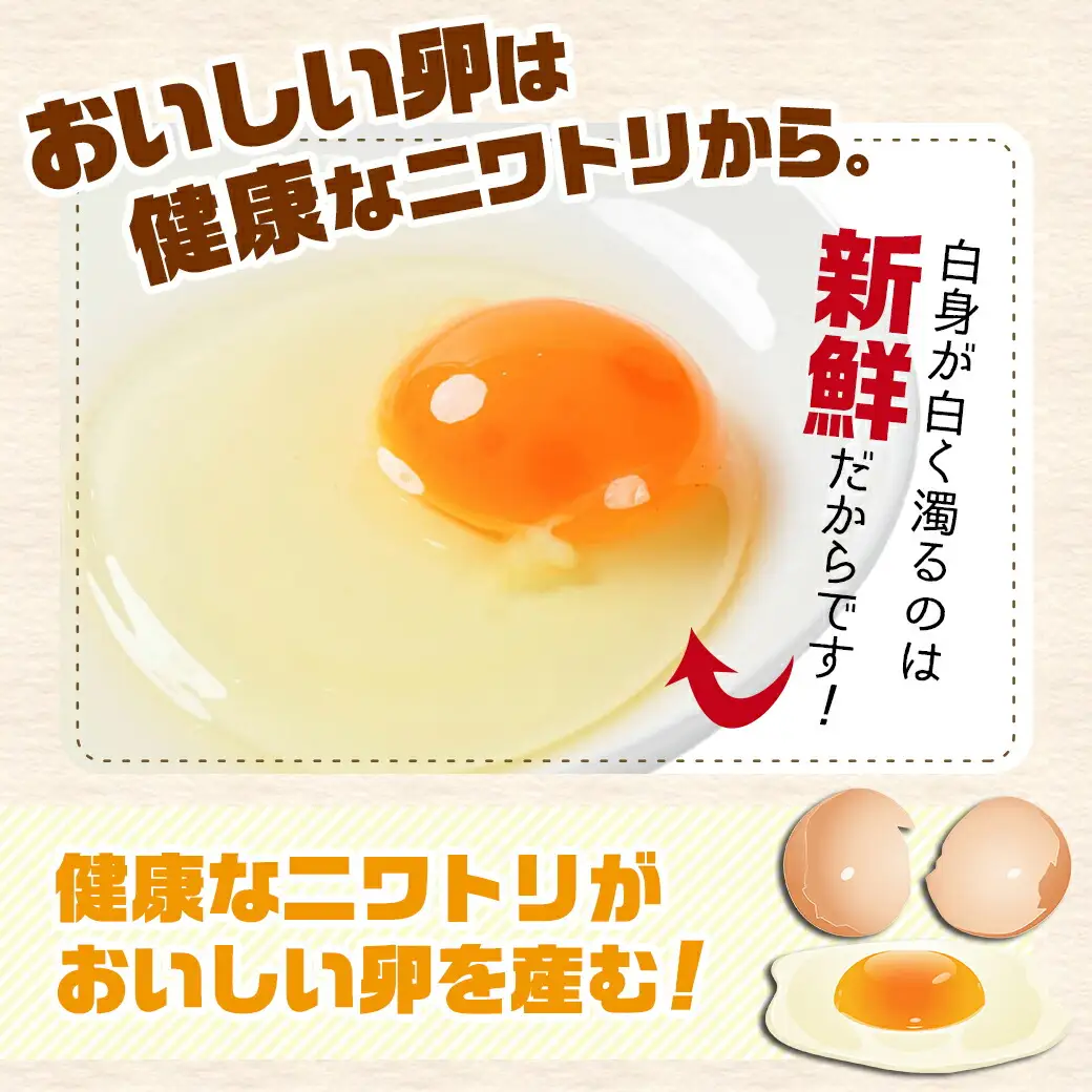 アスタキサンチン入り赤卵「高崎のめぐみ」50個〔AA-68-001-50〕_(都城市) 赤卵 50個 L～Mサイズ 採れたて 新鮮たまご 卵かけご飯 お菓子作り 玉子料理 美容 健康 アスタキサンチン入り