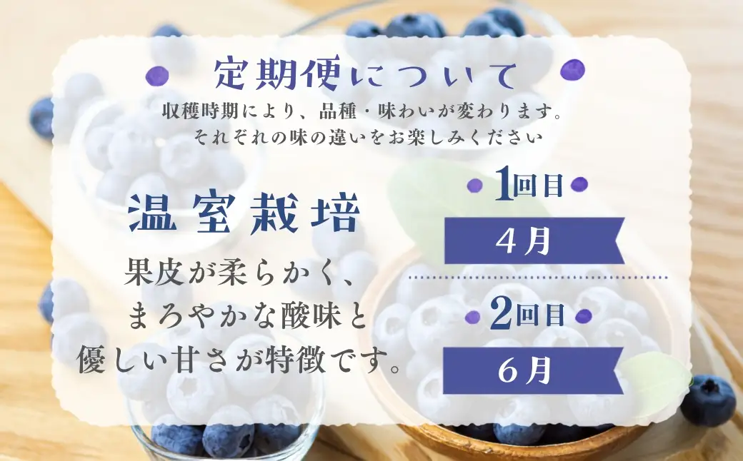 【定期便】完熟ブルーベリー 1kg　2回定期便