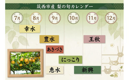 梨 恵水 5kg 特選 2026年産 先行予約 梨