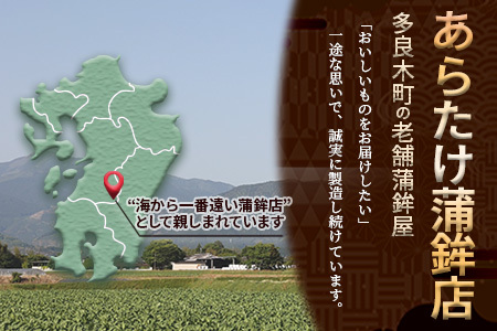 農林水産大臣賞 受賞 蒲鉾店 さつまあげ 8種 詰め合わせセット 真空パック 野菜 天ぷら さつま揚げ ごぼう いわし 芋 れんこん イカ チーズ ネギ 山菜 102-0001