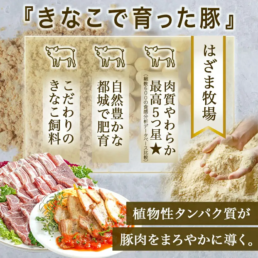 「きなこ豚」焼肉・とんかつセット 計2.1kg〔18-12-009〕_(都城市) ブランド豚 豚カツ用 トンカツ用(ロース / 肩ロース) 焼き肉用 (豚バラ / 豚肩ロース) 切り落とし 小間切れ