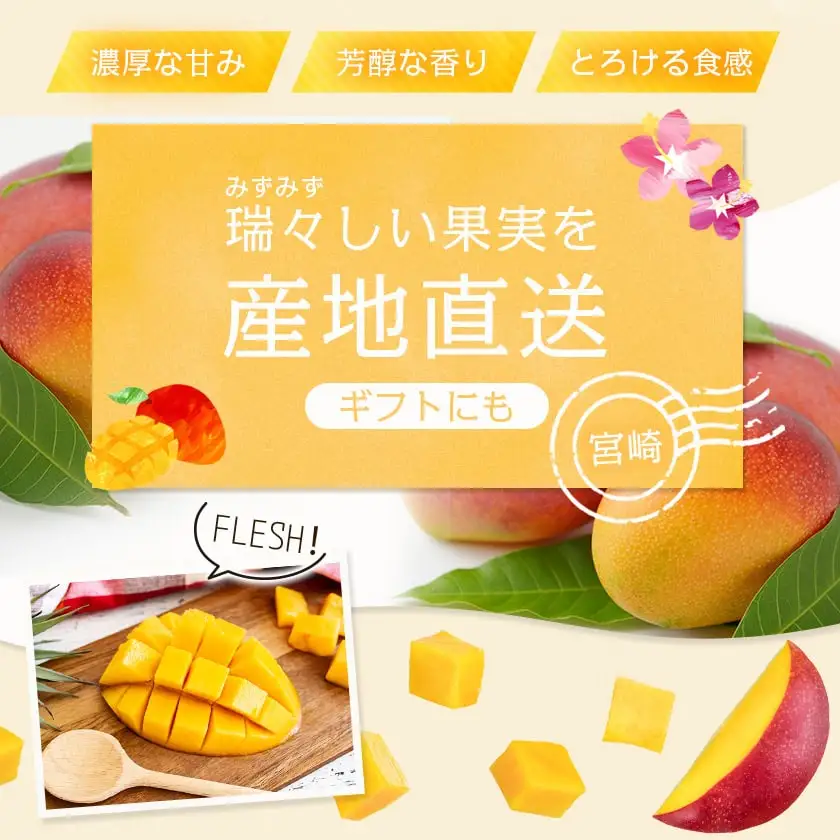 【先行受付!】宮崎完熟マンゴー1玉(都城産)≪2027年6月～7月頃順次お届け≫〔MJ-3301〕