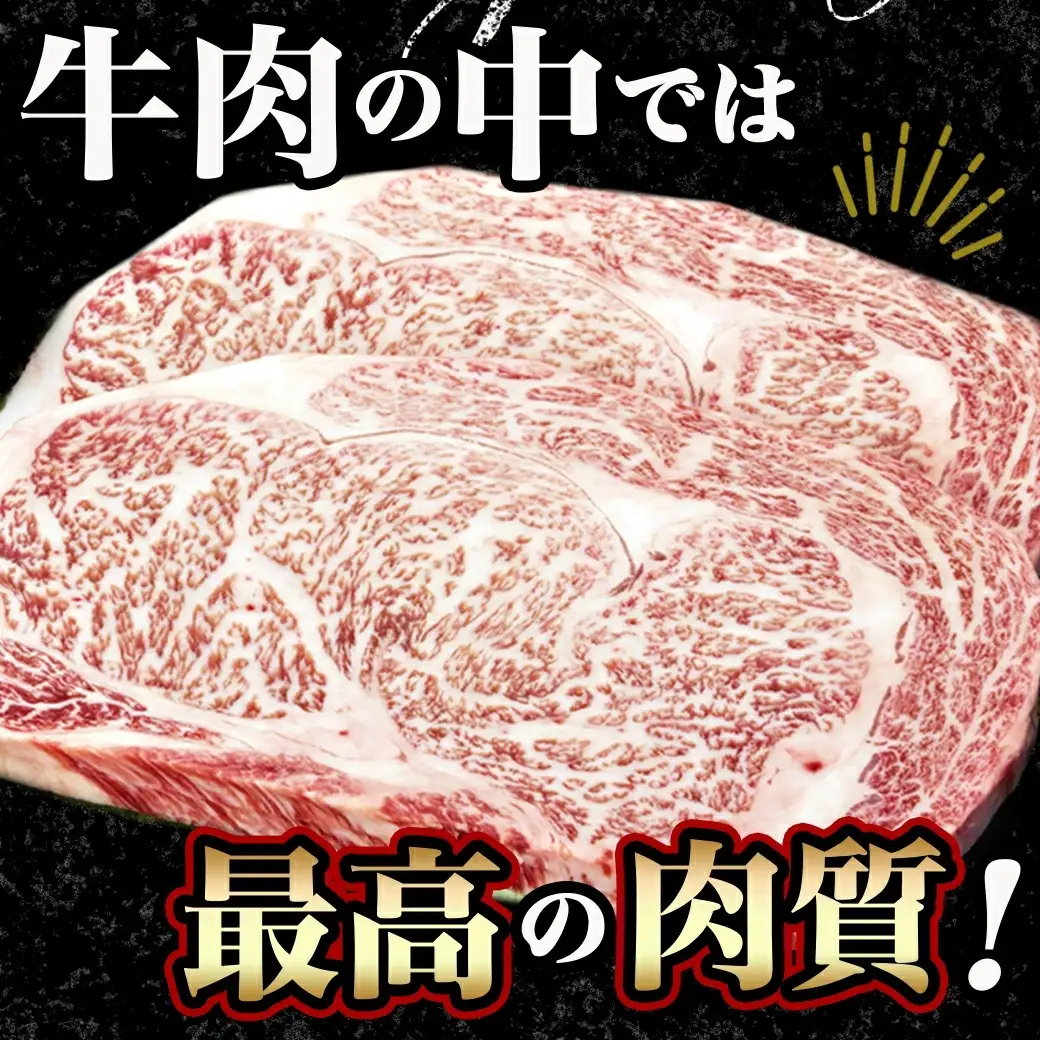 黒毛和牛リブロースステーキ200g×2枚〔16-3302〕_(都城市) 都城産黒毛和牛 牛肉 リブロースステーキ 200g 2パック 計400グラム 国産 九州産 宮崎県産