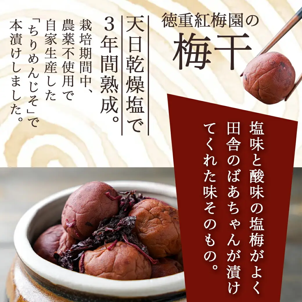 徳重おばあちゃんがつくった昔ながらの3年熟成梅干600g〔MJ-49-001-600g〕_(都城市) あったかいご飯やお茶漬け・お料理の調味料に 鶯宿梅(おうしゅくばい) 梅ぼし 伝統農法 肉厚 徳重紅梅園
