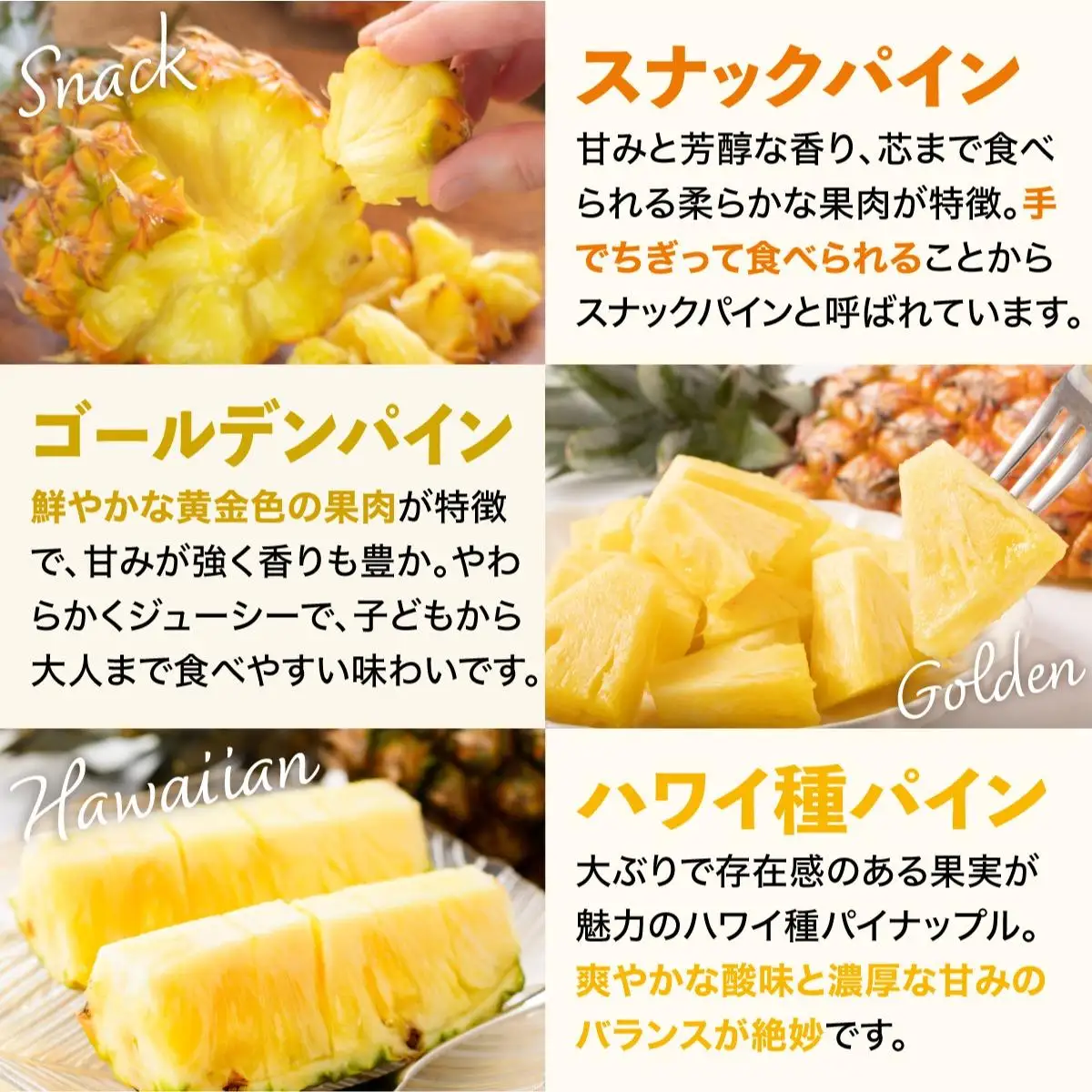 【定期便】石垣島産 パイナップル 3回 定期 3種 計6玉