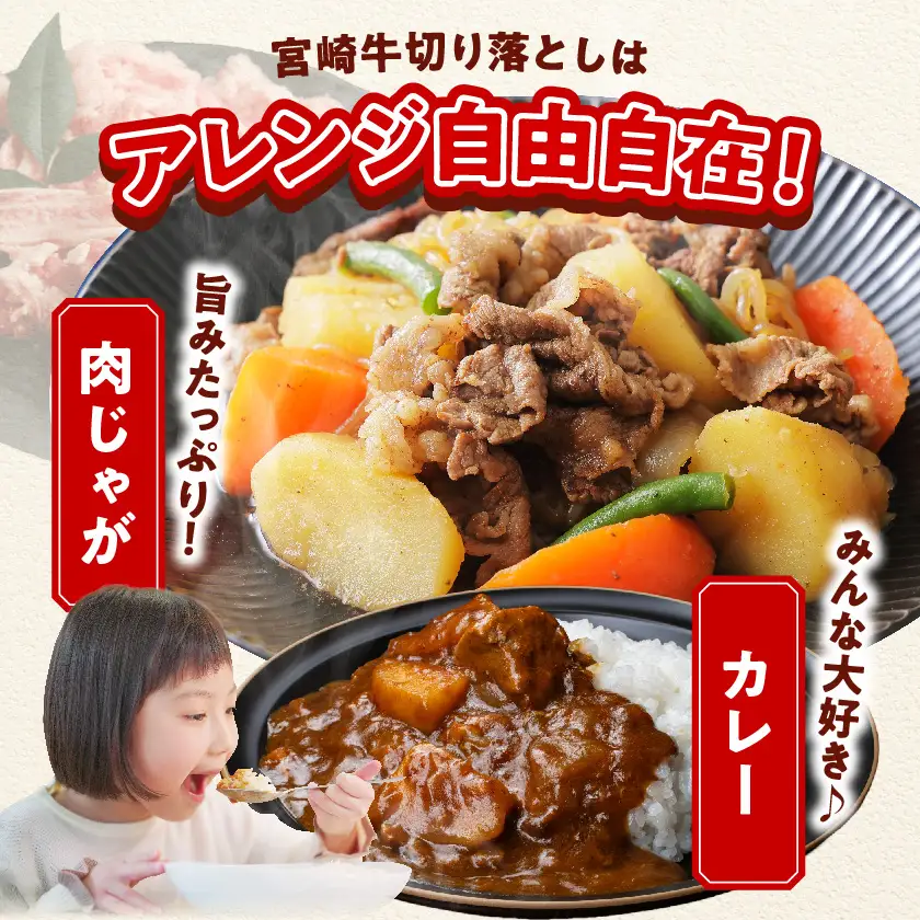 宮崎牛切り落とし1kg〔18-6401〕_(都城市) 500g×2パック 計1キロ 冷凍保存可 牛モモ肉 牛バラ肉 ミックス 肉じゃが カレー 炒め物 すき焼きなどに 国産黒毛和牛