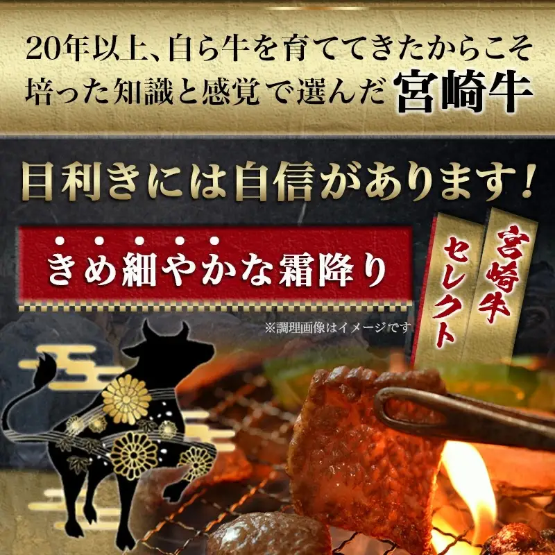 宮崎牛肩ロース焼肉500g〔17-6504〕_(都城市) 牛肉 牛肩ロース焼肉用 (250g×2パック) 計500グラム 粗挽き塩コショウ (2袋) ギフト 贈答用