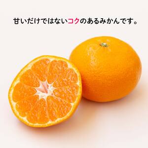 【2026年11月中旬から順次発送】甘こく愛媛みかん 瀬戸内の太陽と潮風で育ったご家庭用 3kg | 蜜柑 みかん 愛媛 松山 フルーツ 果物 くだもの 数量限定 期間限定 送料無料【SHM0101】
