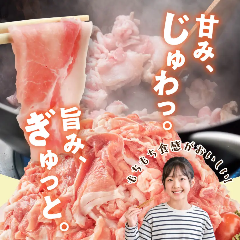 豚肉 切り落とし 4kgセット 小分け 豚肉 〔19-89-002-4kg-CF〕