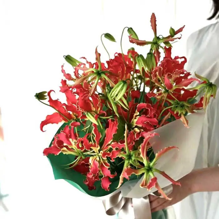 【3回定期便】生花グロリオサ花束 ブーケ 初回花瓶付 【株式会社tomoni】 [ATCG016]