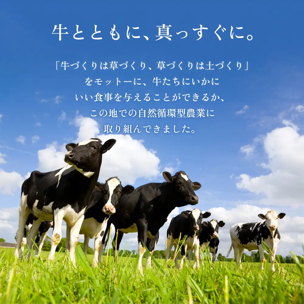 牧場の風を感じる　阿部牧場乳製品色々セット