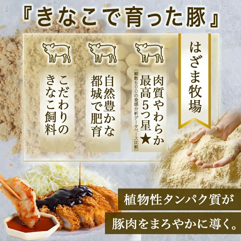 「きなこ豚」お肉と加工品セット 計2.3kg〔AC-12-001〕_(都城市) 豚バラしゃぶしゃぶ肉 豚ロースしゃぶしゃぶ 衣付き豚ロースとんかつ 豚ロース味噌漬け ギョウザ あらびきウインナー 生ハム