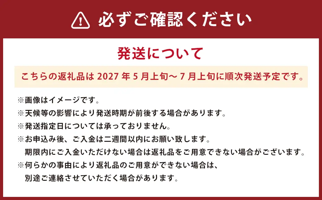 ＜ R8年熊本地震復興支援 ＞肥後グリーン メロン 2玉入 3L以上 (1玉あたり1.6kg以上) 【2027年5月上旬～7月上旬迄順次発送予定】