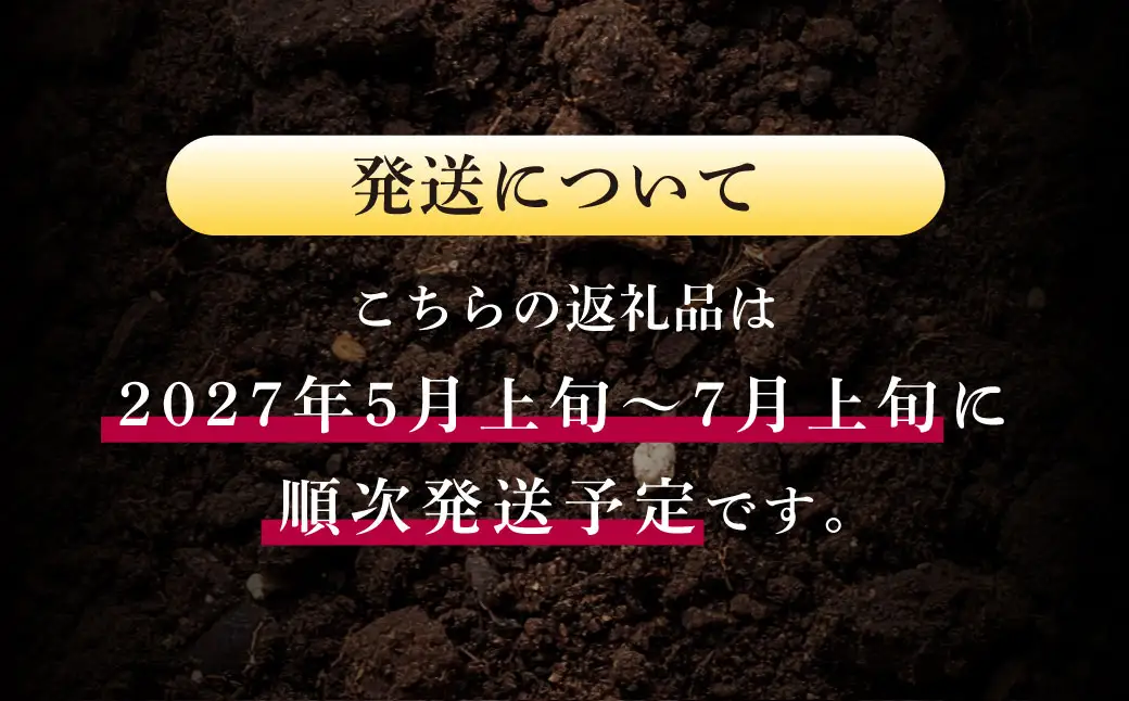 ＜ R8年熊本地震復興支援 ＞大玉西瓜（1玉入り）8kg以上 すいか スイカ 【2027年5月上旬～7月上旬迄順次発送予定】