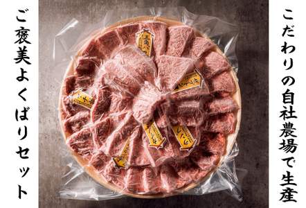 【自社農場和牛】富永和牛おうちで焼肉ボリュームセット（国産 牛肉 和牛 赤身 霜降り 焼肉 BBQ 限定） 焼肉 和牛焼肉 牛肉焼肉 焼肉セット 国産焼肉