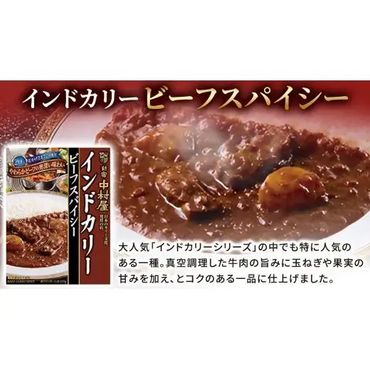 新宿 中村屋 インドカリー ビーフスパイシー 40個