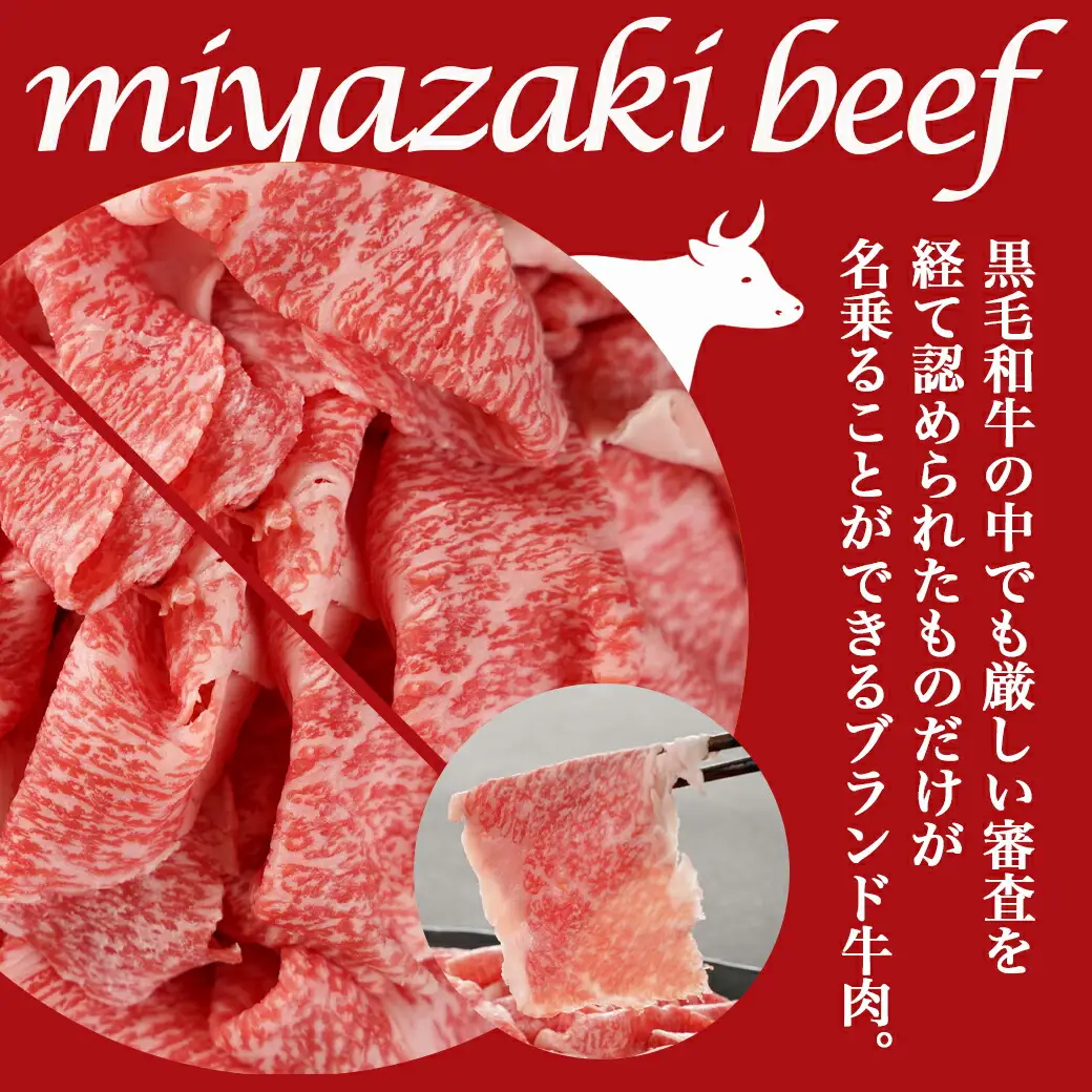 宮崎牛切り落とし1kg(250g×4パック)〔AC-5401〕_(都城市) 牛肉 国産黒毛和牛 都城産宮崎牛 (A4ランク) ４等級 切落し (250g×4) 合計1キロ すき焼き 牛鍋 炒めもの 牛丼 四等級