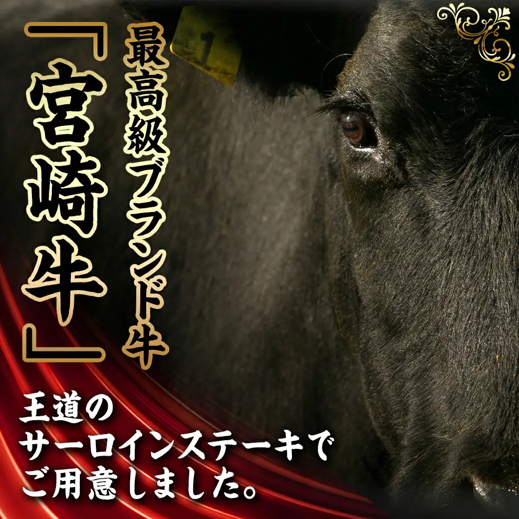 宮崎牛サーロインステーキ200g×2枚〔AC-5403〕_(都城市) 牛肉 ブランド牛 都城産宮崎牛 (A4ランク) サーロイン 霜降り 4等級 ギフト 贈答用