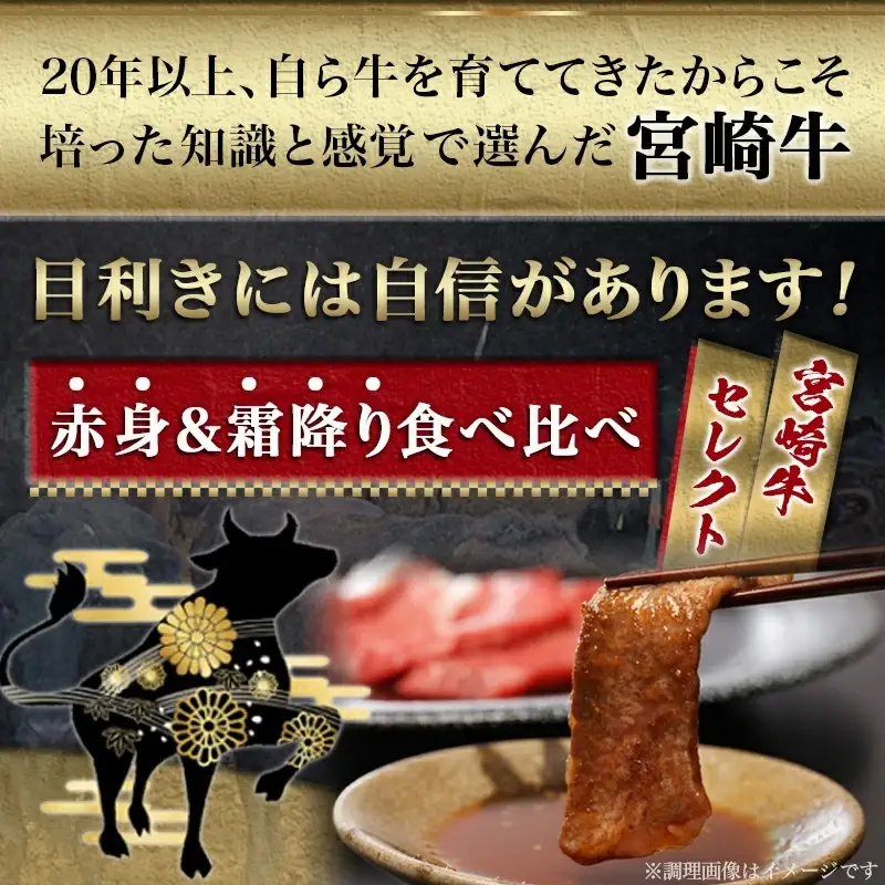 宮崎牛赤身＆霜降り【とろ旨カルビセット】800g〔22-6506〕_(都城市) 牛肉 牛もも焼肉用(500g) 牛肩ロース焼肉用(300g) 合計800グラム 焼き肉用カット 鉄板焼き BBQ 牛モモ肉 霜降り肉 ギフト 贈答用