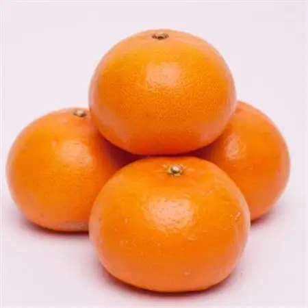 厳選 せとか2.5kg+250g(傷み補償分)【柑橘・春みかんの王様】【光センサー選果・食べ頃出荷】【配送不可地域：離島・北海道・沖縄県】【1322892】