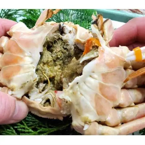 松葉ガニの本場・兵庫県新温泉町　とれたて　訳あり・松葉ガニ(釜茹で・冷蔵)　1～2枚入【配送不可地域：離島・北海道・沖縄県・東北】【1149854】
