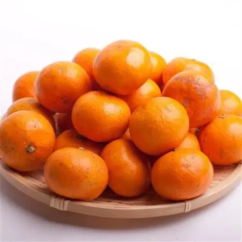 家庭用 小さな有田みかん2.5kg+250g(傷み補償分)【光センサー選果】【訳あり】【配送不可地域：離島・北海道・沖縄県】【1440253】