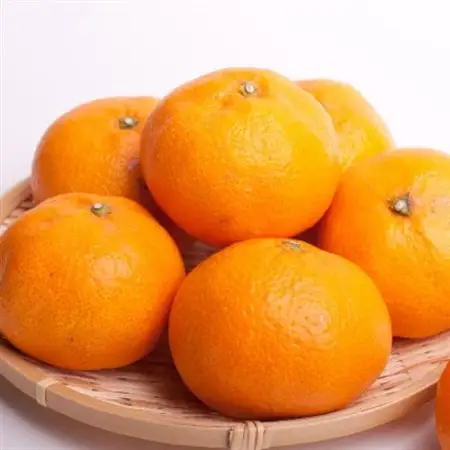家庭用 大きな有田みかん5kg+250g(傷み補償分)【光センサー選果】【訳あり・わけあり】【配送不可地域：離島・北海道・沖縄県】【1440276】