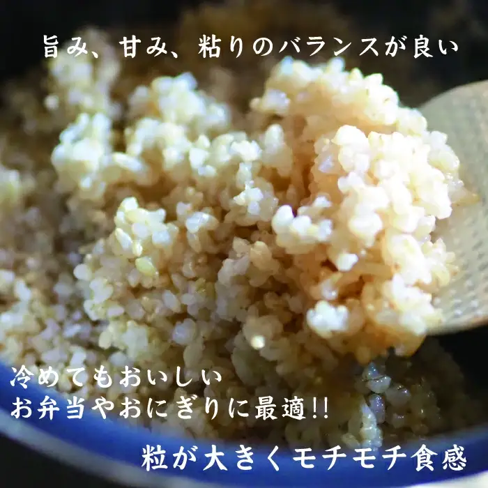 有機無農薬ＪＡＳ認証米コシヒカリ玄米5㎏　【07208-0203】
