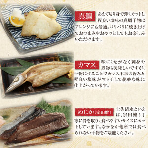 漁師町直送 こだわり干物セット Aセット 10袋（14枚～16枚） 個包装【R01150】