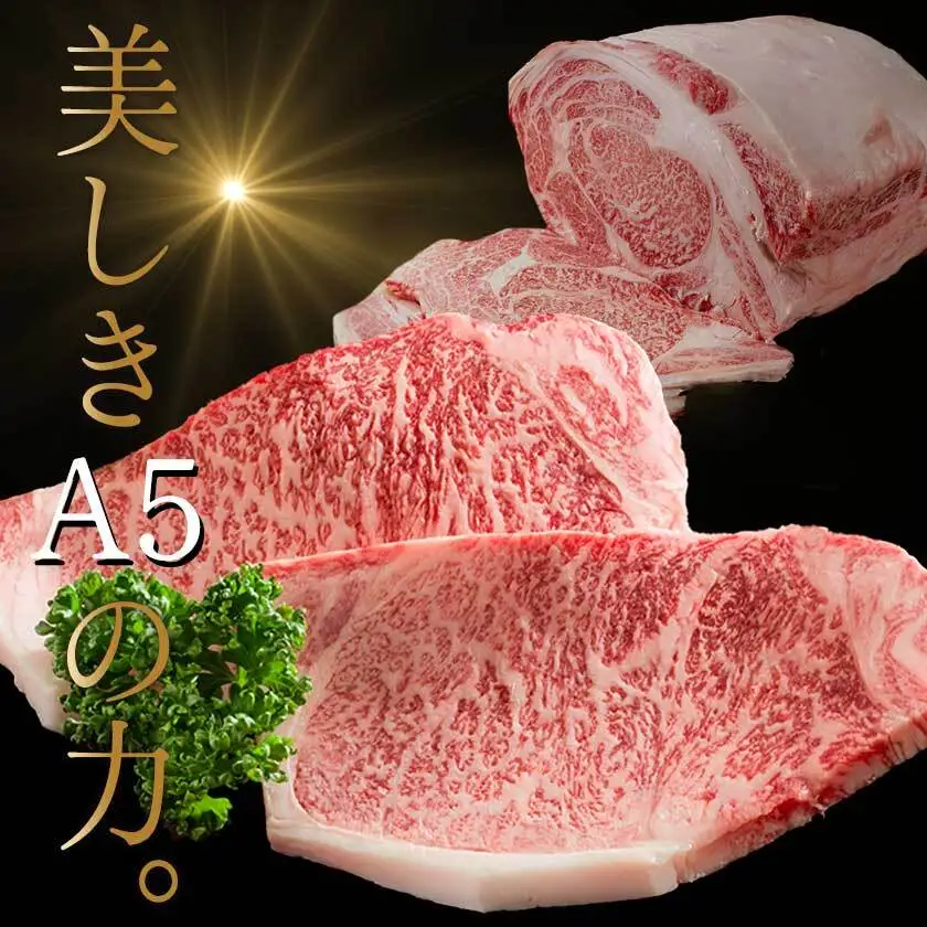 宮崎牛(A5)サーロインステーキ200g×2枚〔28-0102〕_(都城市) 最高級A5ランクの牛肉 宮崎牛サーロイン霜降りステーキ用牛肉 (200g×2枚) 最高等級5等級 国産黒毛和牛 宮崎県産牛肉 ギフト 贈答用