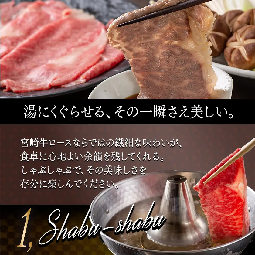 宮崎牛(A5)ローススライス500g〔AD-0102〕_(都城市) 宮崎牛ロース薄切り肉 500g×1パック A5ランク 5等級 すき焼き 国産牛肉 九州産 宮崎県産牛肉 都城産 霜降り肉 ギフト 贈答用