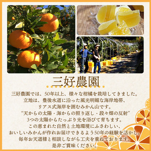 三好農園直送 西予市産 愛媛みかん ５kg ギフト用(L～Mサイズ) MMN0015