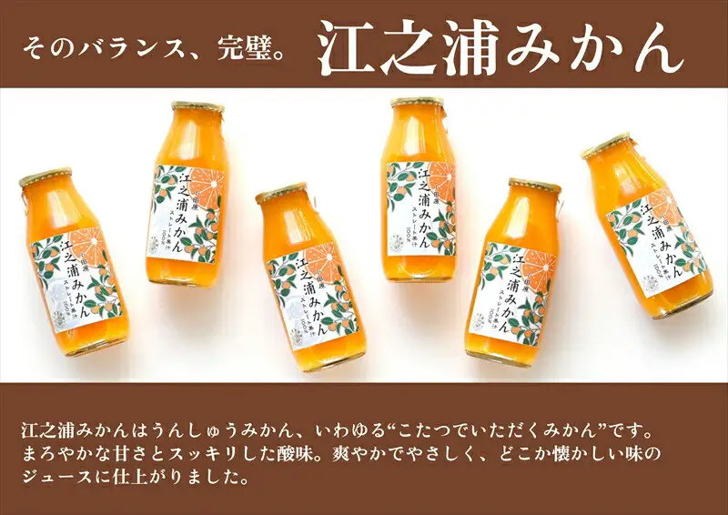 【定期便 12回 】小田原産江之浦みかん１００％ストレートジュース１８０ml３０本 【みかんジュース みかんジュース 神奈川県 小田原市 】