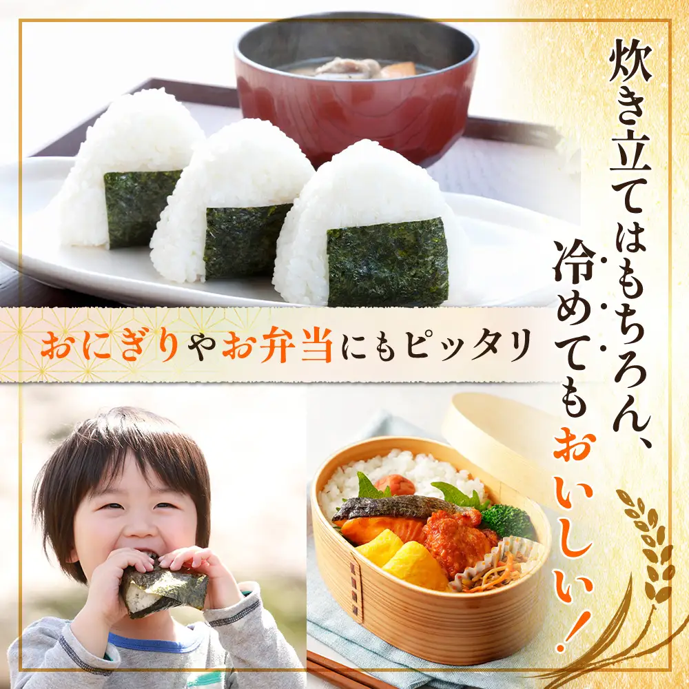 【令和8年度産】ななつぼし食味ランキング「特A」精米（5kg）【1100307】