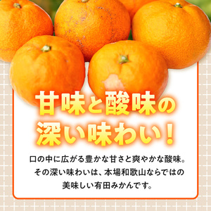 【2026年先行予約】【訳あり ご家庭用】和歌山県産 有田みかん 8kg＋2kg保証分 サイズ混合_EH6101