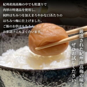 紀州南高梅　はちみつ　家庭用Ｂ級　600ｇ_SF2023