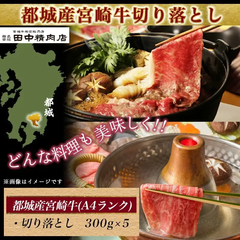 宮崎牛切り落とし1.5kg〔AD-24-003〕_(都城市) 国産黒毛和牛 ブランド A4ランク 牛肉 300g×5パック 小分け 冷凍