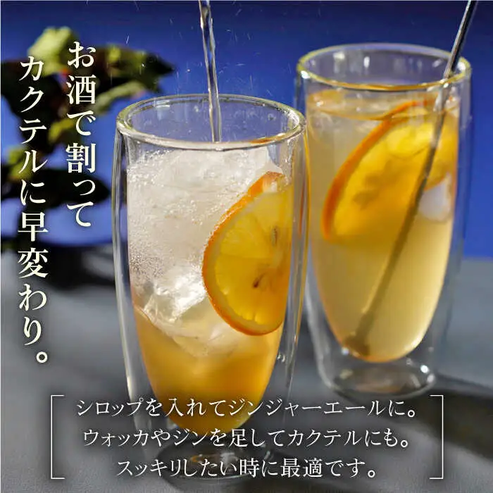 ジンジャーシロップ 2本 ギフトセット NCO001 ジンジャーシロップ