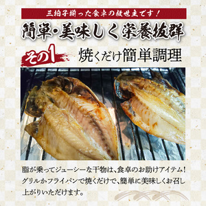 厳選干物 3種（連子鯛・アジ・サバ）32枚 ／ 訳あり 干物 詰め合わせ【B167】