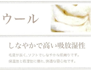 ROMANCE 洗える メリノウール 敷きパッド シングル ベージュ 80674400｜快適な寝心地 天然素材 メリノウール100% 保湿性 吸湿性 洗える [4425]